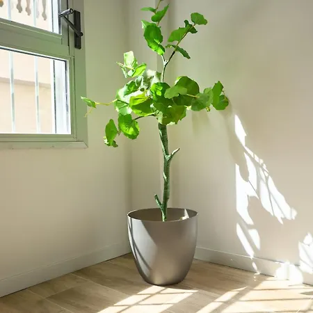 Hasta 6 Viajeros, Luz Natural Cocina Equipada